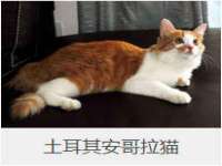 云南中视快运物流有限公司