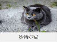 云南中视快运物流有限公司