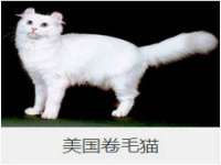 云南中视快运物流有限公司