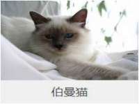 云南中视快运物流有限公司