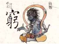云南中视快运物流有限公司
