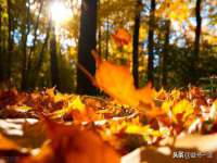 云南中视快运物流有限公司
