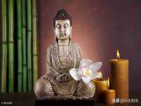 云南中视快运物流有限公司