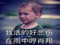 云南中视快运物流有限公司