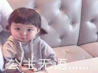 云南中视快运物流有限公司