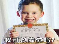 云南中视快运物流有限公司