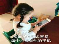 云南中视快运物流有限公司