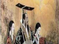 云南中视快运物流有限公司