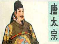 云南中视快运物流有限公司