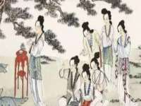 云南中视快运物流有限公司