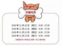 云南中视快运物流有限公司