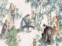 云南中视快运物流有限公司