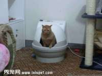 云南中视快运物流有限公司