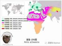 云南中视快运物流有限公司