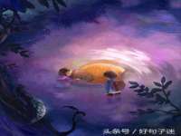 云南中视快运物流有限公司