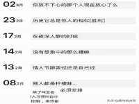 云南中视快运物流有限公司