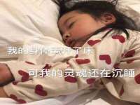 云南中视快运物流有限公司
