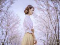 云南中视快运物流有限公司
