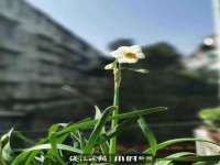 云南中视快运物流有限公司