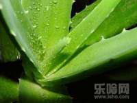 云南中视快运物流有限公司