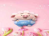 云南中视快运物流有限公司