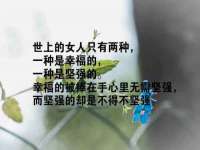 云南中视快运物流有限公司