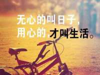 云南中视快运物流有限公司