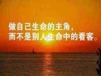 云南中视快运物流有限公司