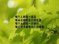 云南中视快运物流有限公司