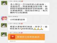云南中视快运物流有限公司