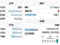 云南中视快运物流有限公司