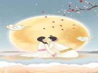 云南中视快运物流有限公司