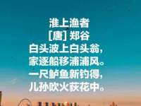 云南中视快运物流有限公司