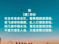 云南中视快运物流有限公司