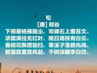 云南中视快运物流有限公司