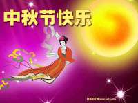 云南中视快运物流有限公司