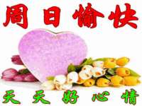 云南中视快运物流有限公司