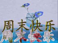 云南中视快运物流有限公司