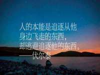 云南中视快运物流有限公司