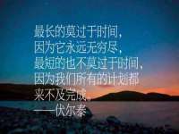 云南中视快运物流有限公司