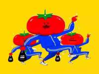 云南中视快运物流有限公司
