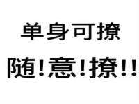 云南中视快运物流有限公司