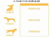 云南中视快运物流有限公司