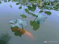 云南中视快运物流有限公司