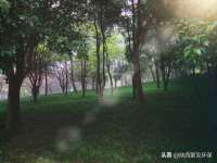云南中视快运物流有限公司