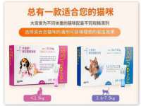 云南中视快运物流有限公司