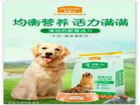 云南中视快运物流有限公司