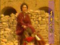 云南中视快运物流有限公司