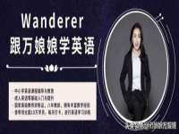 云南中视快运物流有限公司