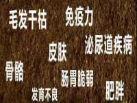 云南中视快运物流有限公司